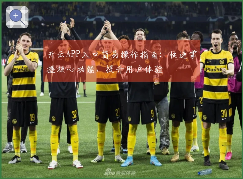 开云APP入口简易操作指南：快速掌握核心功能，提升用户体验